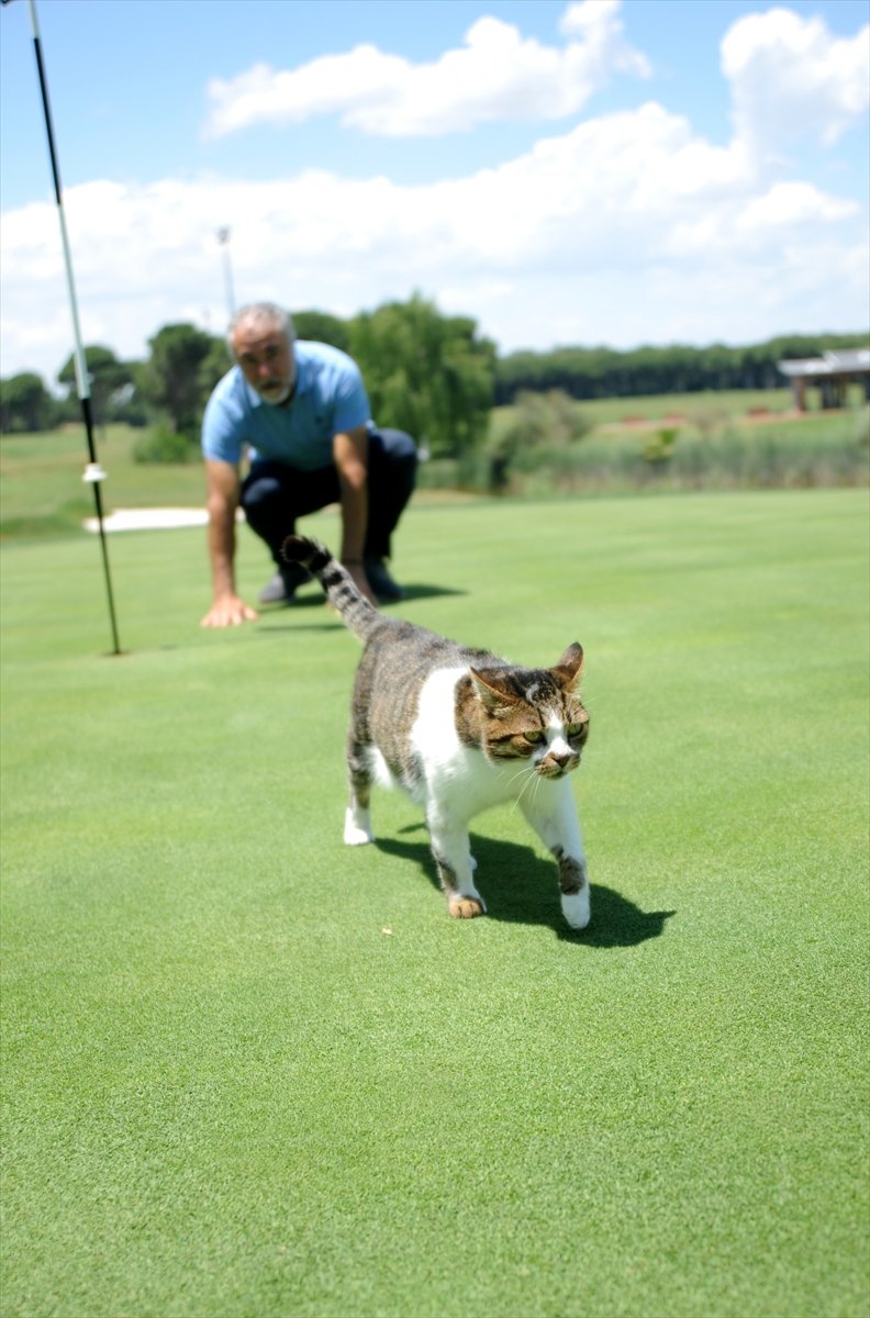Turizm Bölgesi Belek, Golf Tutkunlarını Bekliyor