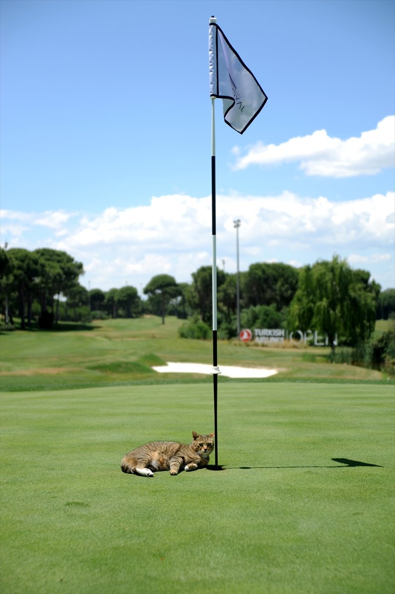Turizm Bölgesi Belek, Golf Tutkunlarını Bekliyor