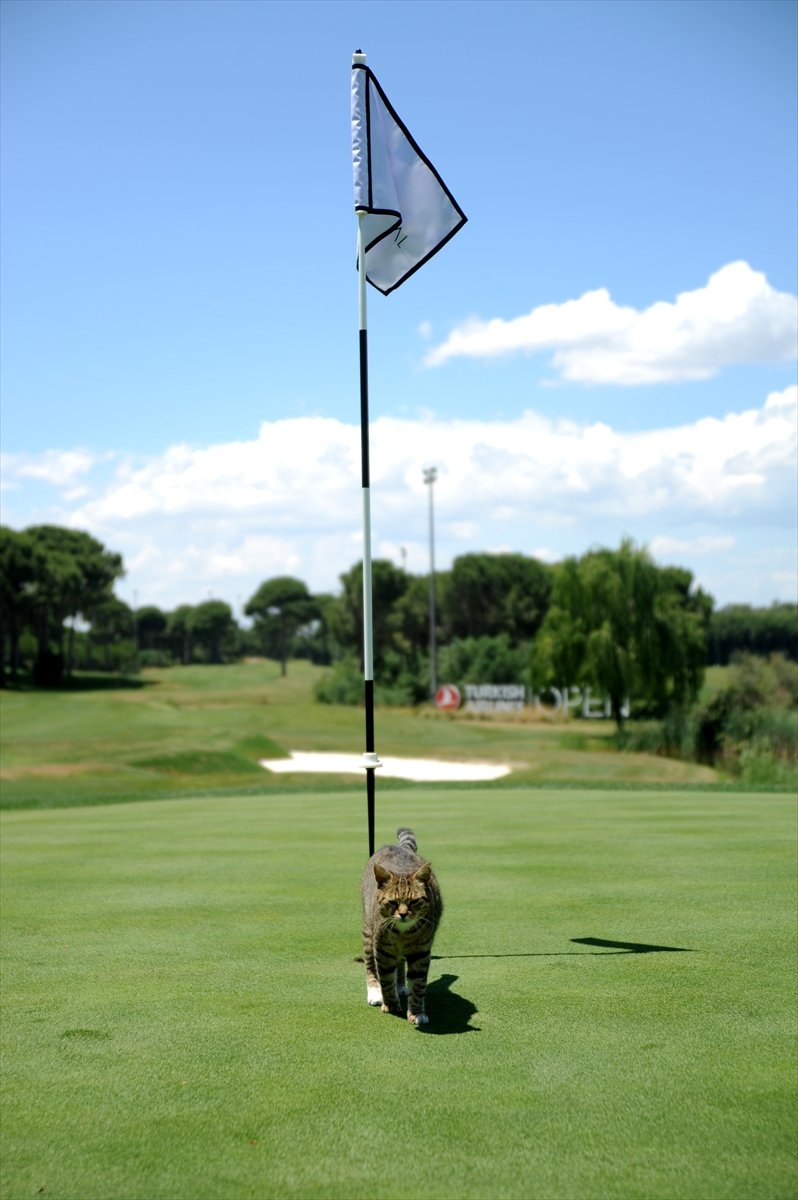 Turizm Bölgesi Belek, Golf Tutkunlarını Bekliyor