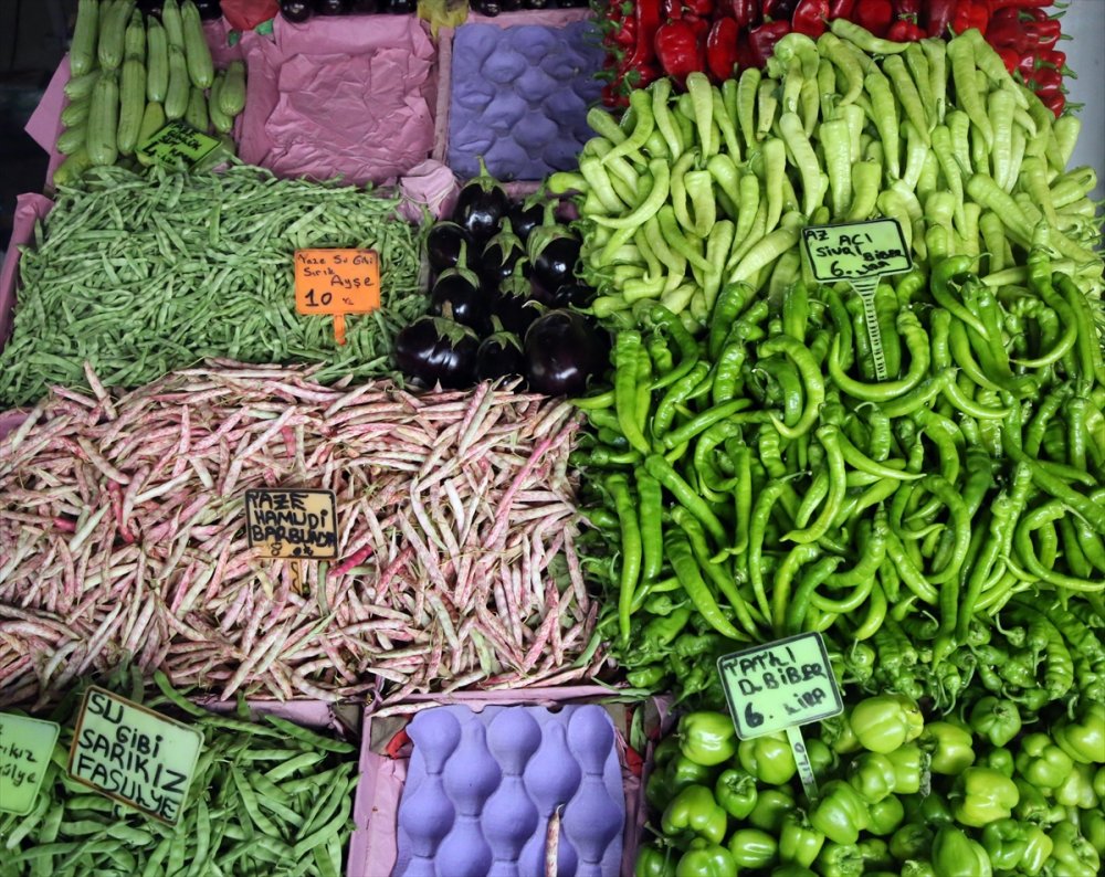 Yaş Meyve Sebze İhracatına Doğu Akdeniz 