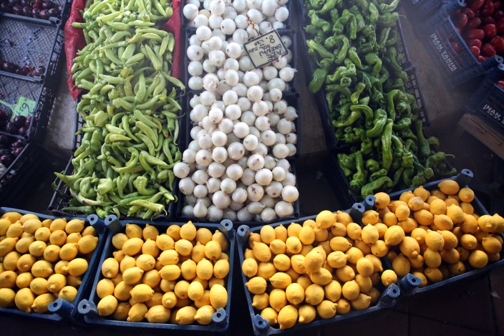 Yaş Meyve Sebze İhracatına Doğu Akdeniz 