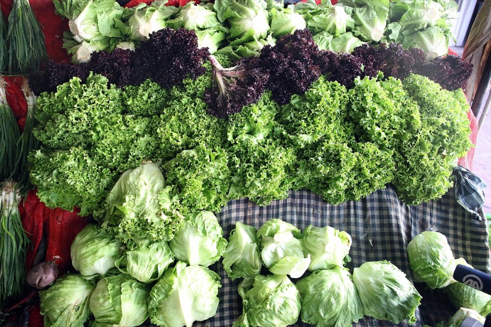 Yaş Meyve Sebze İhracatına Doğu Akdeniz 