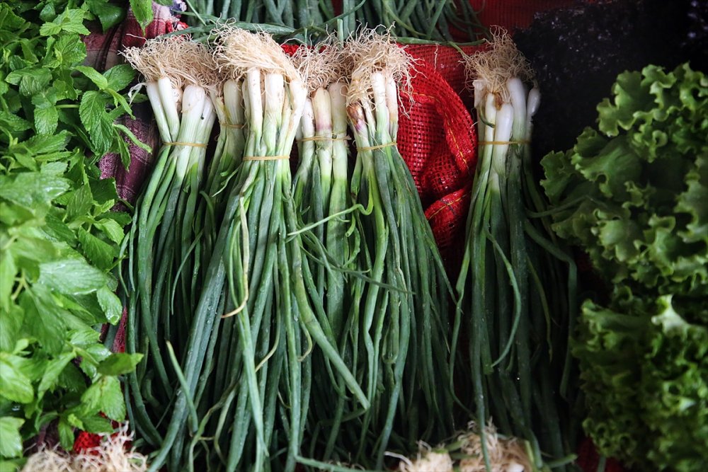 Yaş Meyve Sebze İhracatına Doğu Akdeniz 