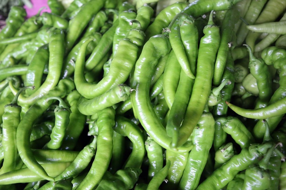 Yaş Meyve Sebze İhracatına Doğu Akdeniz 