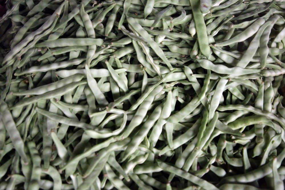 Yaş Meyve Sebze İhracatına Doğu Akdeniz 