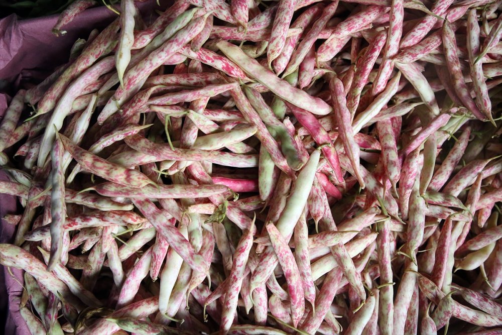 Yaş Meyve Sebze İhracatına Doğu Akdeniz 