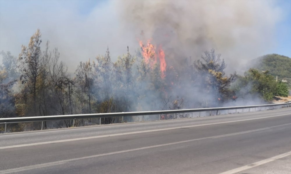 Antalya'da Çıkan Orman Yangını Hava Ve Karadan Müdahaleyle Söndürüldü