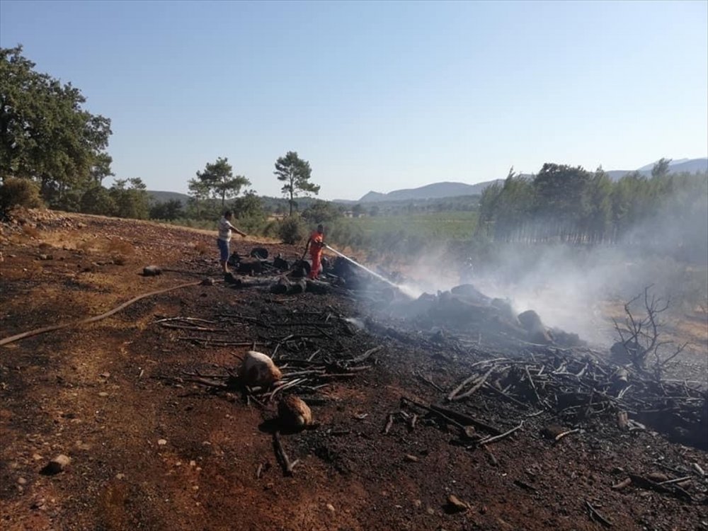 Antalya'da Çıkan Yangında 25 Dönüm Tarım Arazisi Zarar Gördü