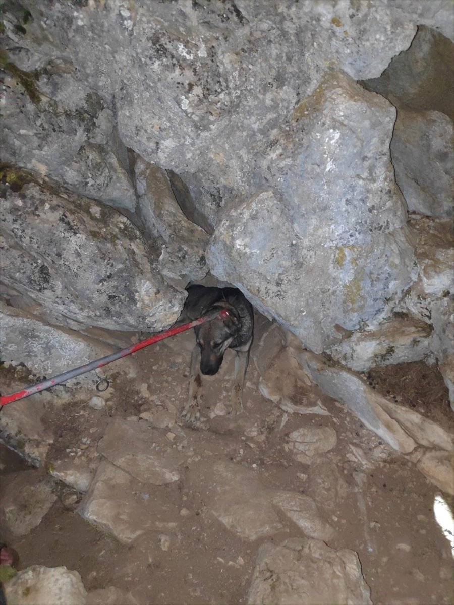 Konya'da Kayalıklarda Sıkışan Çoban Köpeğini Afad Ekipleri Kurtardı