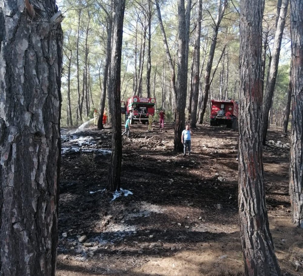 Antalya'da Çıkan Yangınlar Söndürüldü