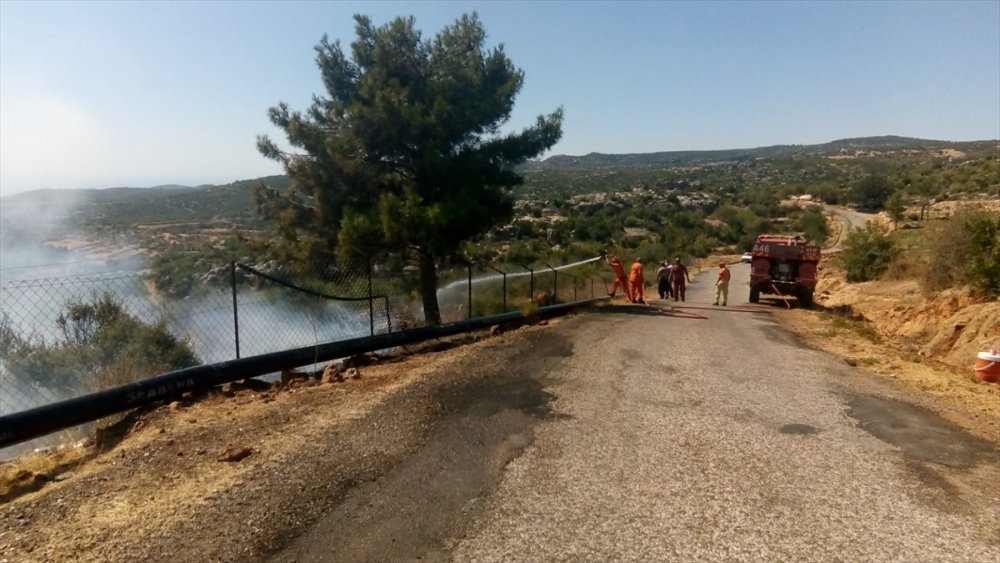 Mersin'de Çıkan Orman Yangınına Müdahale Ediliyor