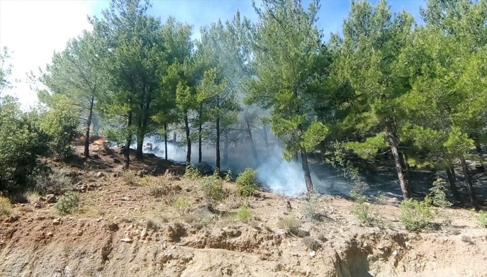 Mersin'de Çıkan Orman Yangınına Müdahale Ediliyor