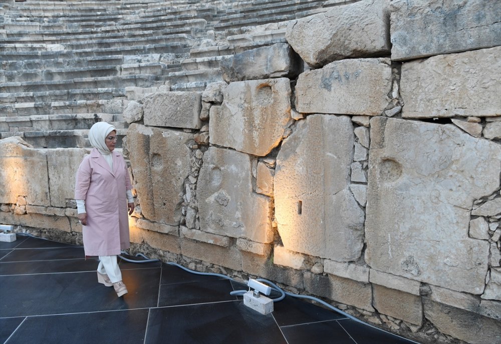 Tedavi Edilen Caretta Carettalar Doğal Yaşam Alanlarına Bırakıldı