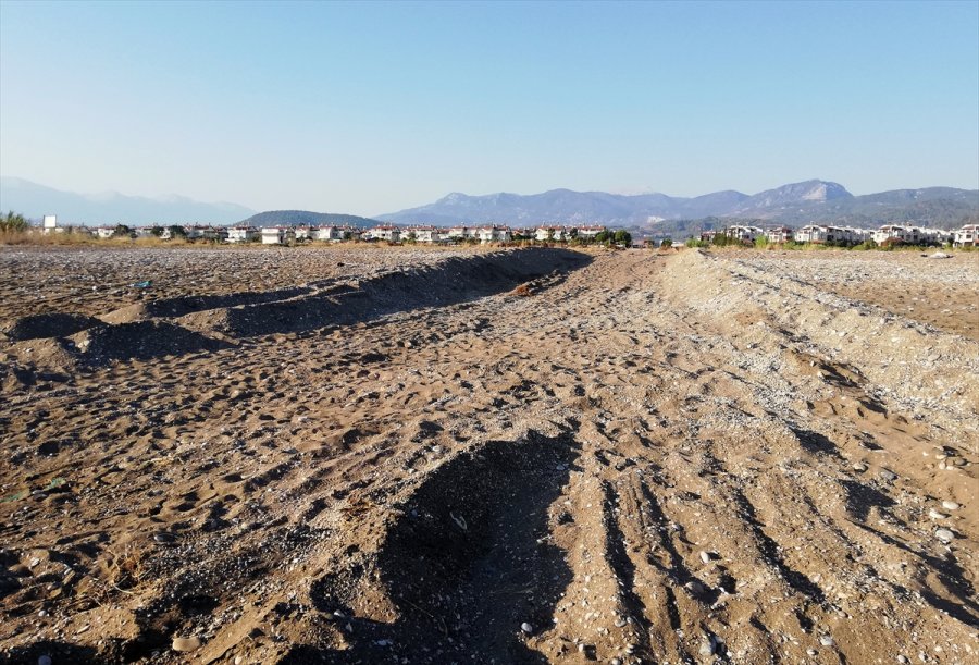 Güncelleme - Antalya'da Caretta Carettaların Üreme Alanına İş Makinesiyle Girildi