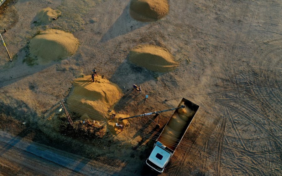 Konya Ovası'nda Hububattaki Verim Ve Fiyat Artışı Çiftçinin Yüzünü Güldürdü