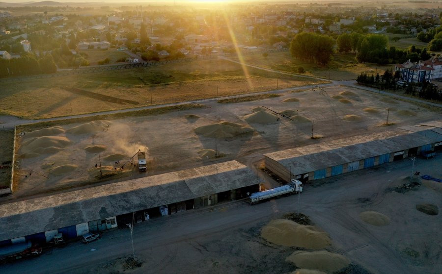 Konya Ovası'nda Hububattaki Verim Ve Fiyat Artışı Çiftçinin Yüzünü Güldürdü