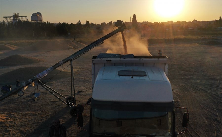 Konya Ovası'nda Hububattaki Verim Ve Fiyat Artışı Çiftçinin Yüzünü Güldürdü