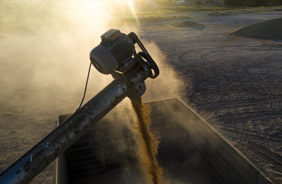 Konya Ovası'nda Hububattaki Verim Ve Fiyat Artışı Çiftçinin Yüzünü Güldürdü