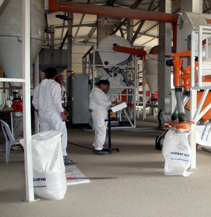 Beypazarı Belediyesinin Tohum Eleme Tesisinde Çalışmalar Sürüyor