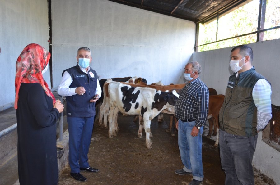 Kayseri'de Ahırı Yanan Çiftçiye Buzağı Ve Yem Yardımı Yapıldı