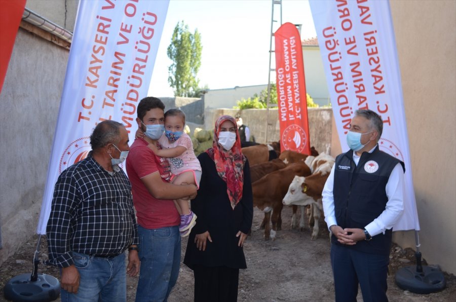 Kayseri'de Ahırı Yanan Çiftçiye Buzağı Ve Yem Yardımı Yapıldı