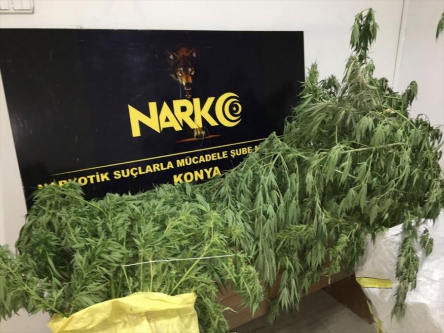 Konya'da Uyuşturucu Operasyonunda 8 Şüpheli Gözaltına Alındı