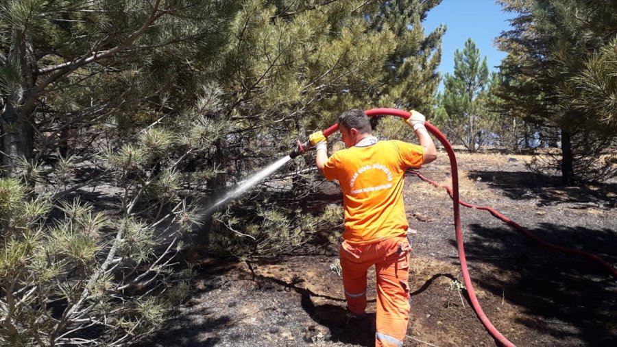 Konya'daki Yangında 2 Hektar Makilik Alan Zarar Gördü
