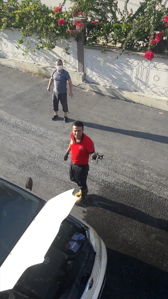 Mersin'de Otomobilin Motoruna Giren 4 Kedi Yavrusu Kurtarıldı