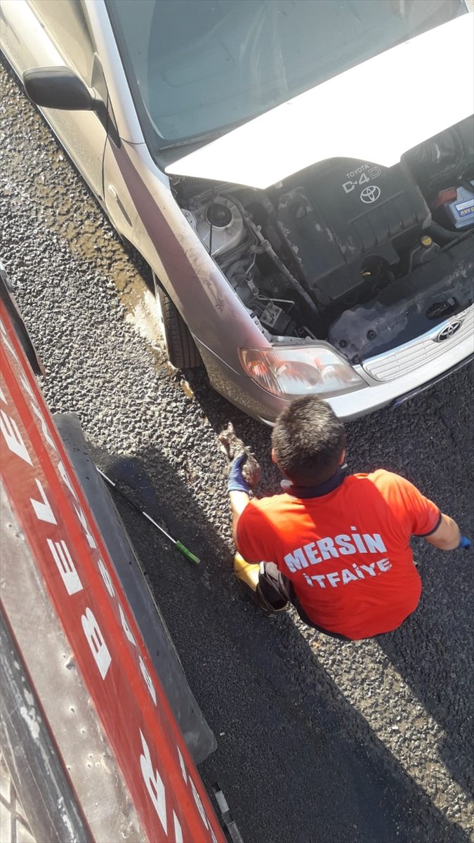 Mersin'de Otomobilin Motoruna Giren 4 Kedi Yavrusu Kurtarıldı