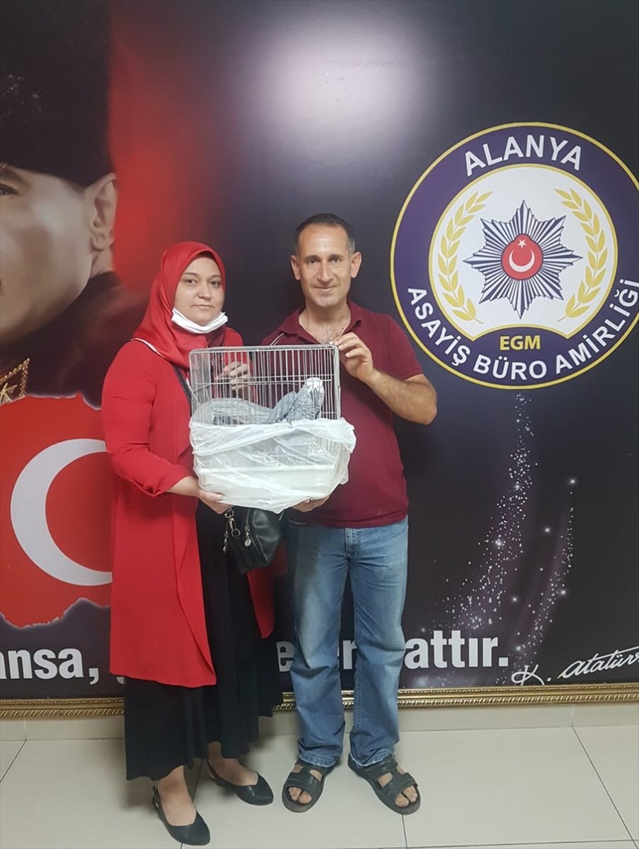 Alanya'da Çalınan Motosiklet Ve Papağan Bulundu