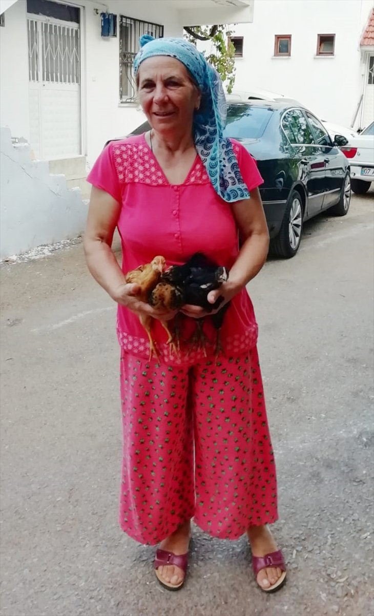 Antalya'da Otomobilin Çarptığı Kadın Öldü