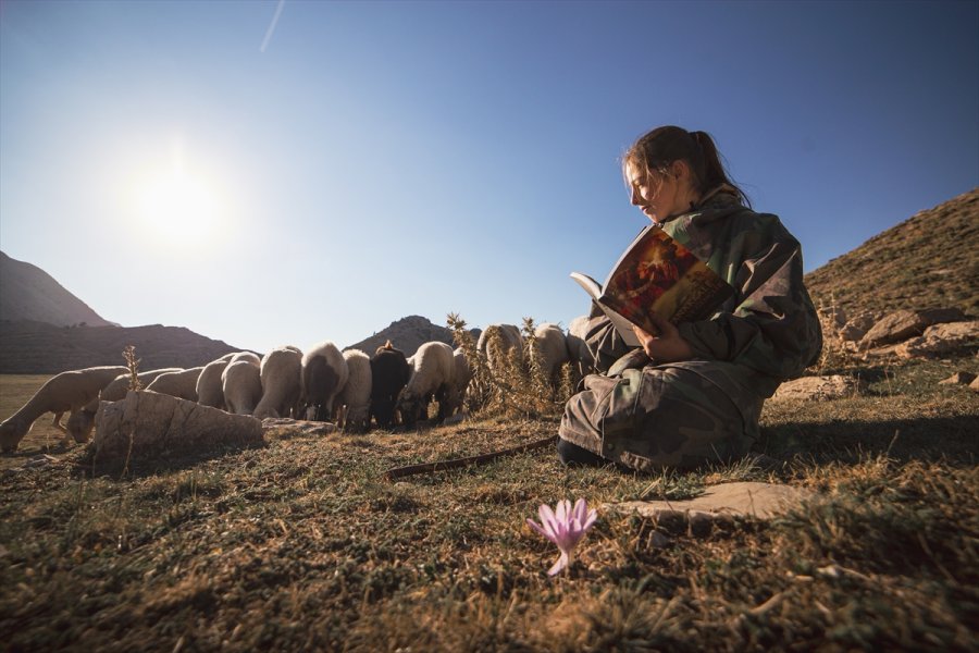 Toroslar'ın Kardeleni: 