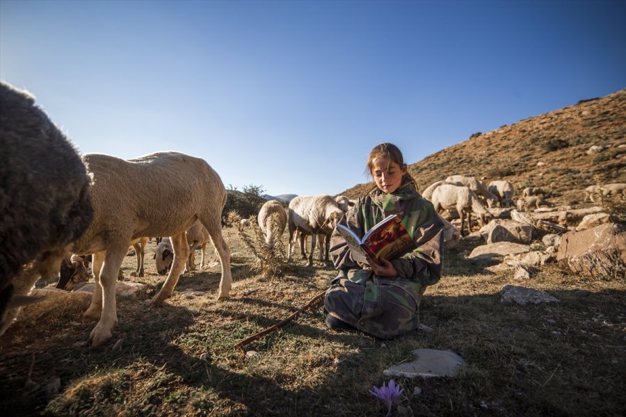 Toroslar'ın Kardeleni: 