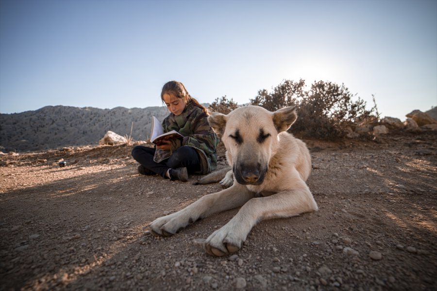 Toroslar'ın Kardeleni: 
