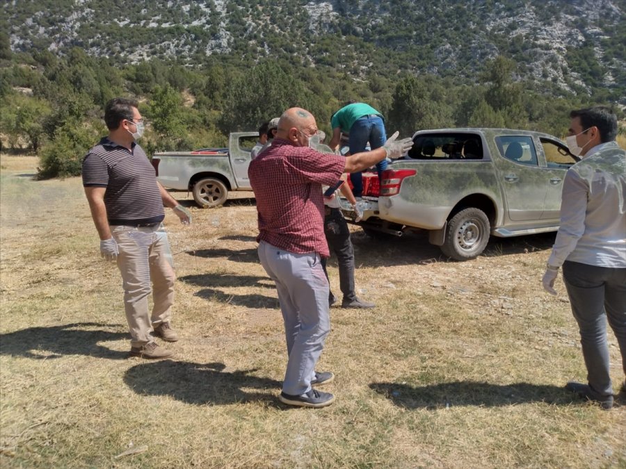 Antalya'da 200 Kınalı Keklik Doğaya Salındı