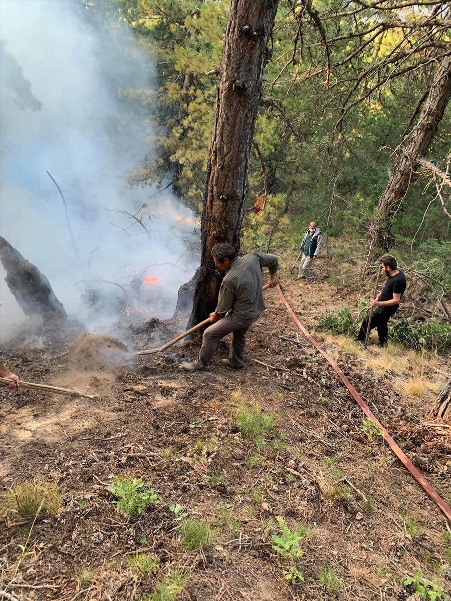 Konya'daki Ormanlık Alanda Çıkan Yangın Büyümeden Söndürüldü