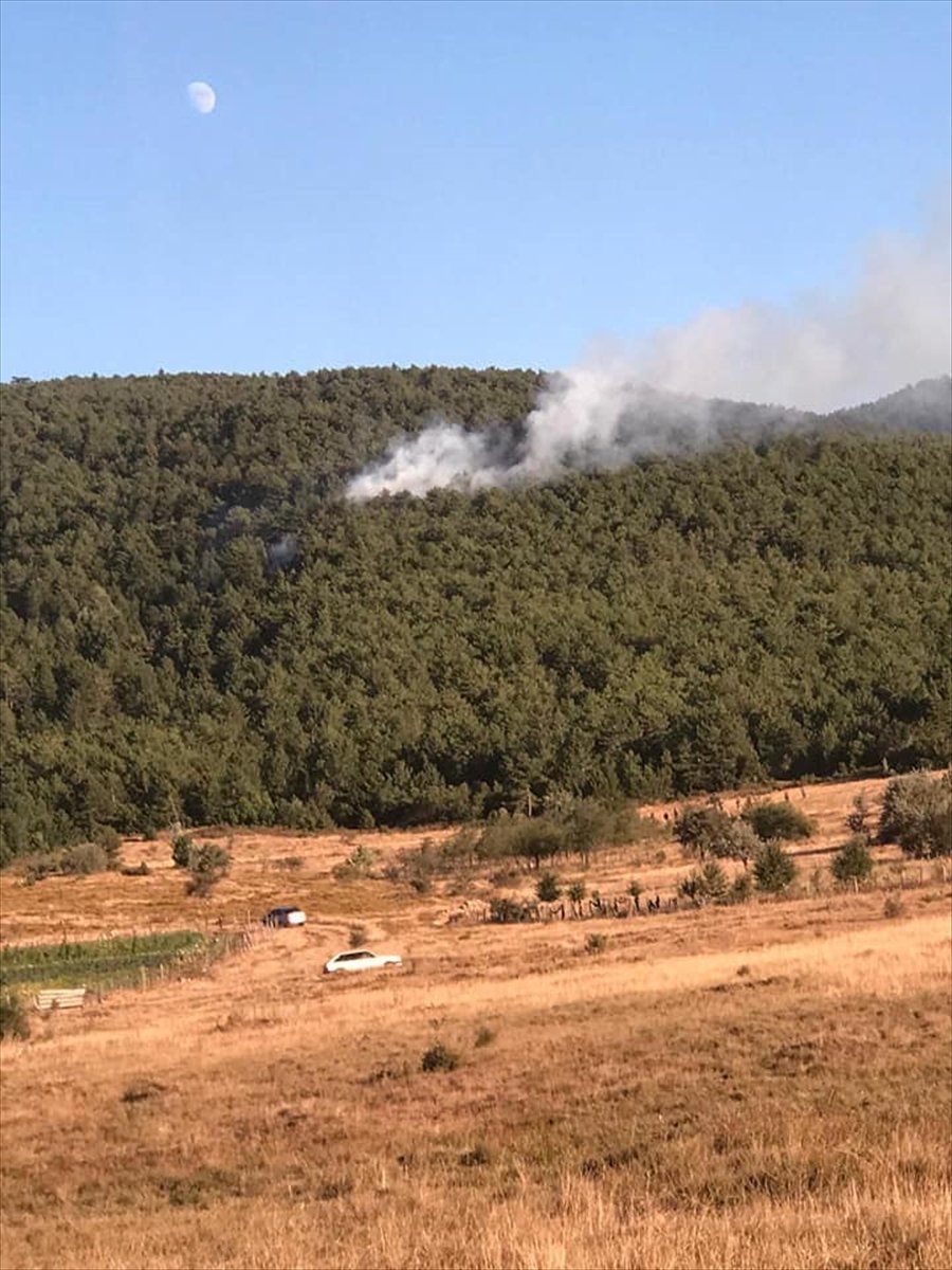Konya'daki Ormanlık Alanda Çıkan Yangın Büyümeden Söndürüldü