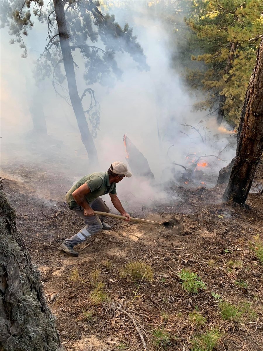 Konya'daki Ormanlık Alanda Çıkan Yangın Büyümeden Söndürüldü