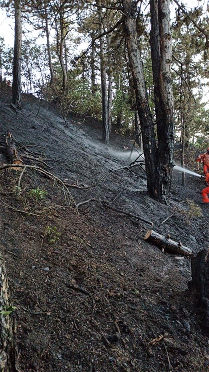 Konya'daki Ormanlık Alanda Çıkan Yangın Büyümeden Söndürüldü