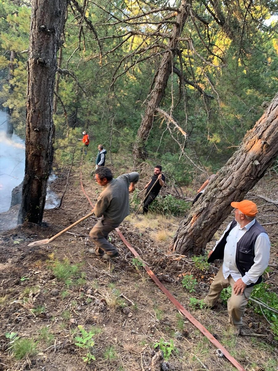 Konya'daki Ormanlık Alanda Çıkan Yangın Büyümeden Söndürüldü