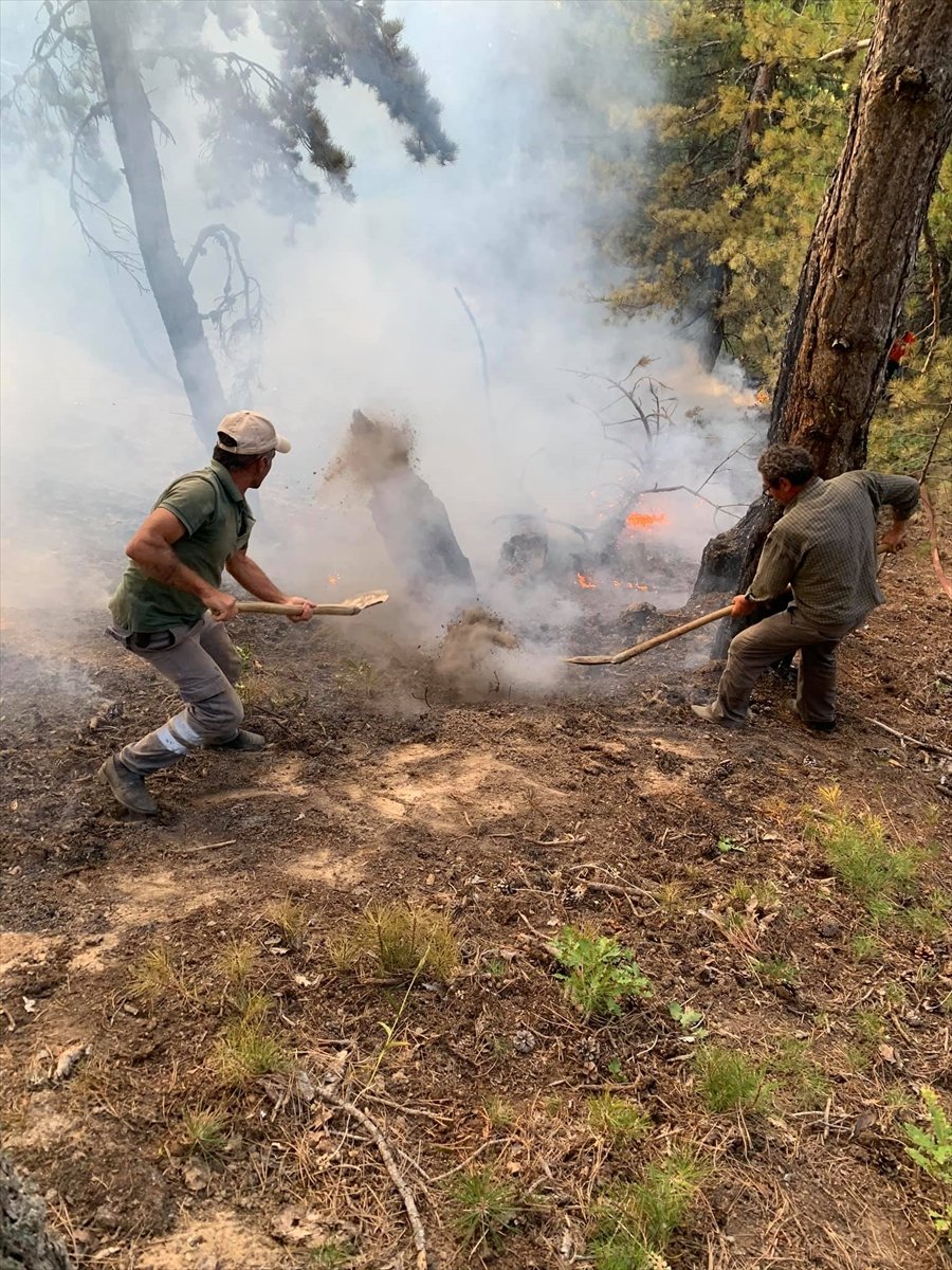 Konya'daki Ormanlık Alanda Çıkan Yangın Büyümeden Söndürüldü