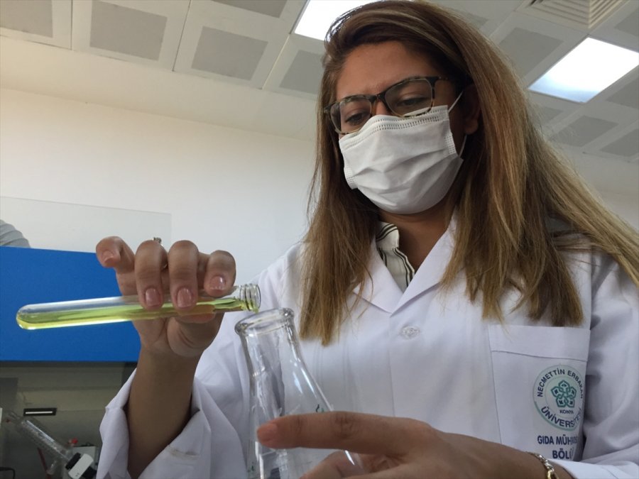 Neü Öğretim Üyesi Didem Şanver Akbaş, Eaacı Araştırma Bursu Kazandı