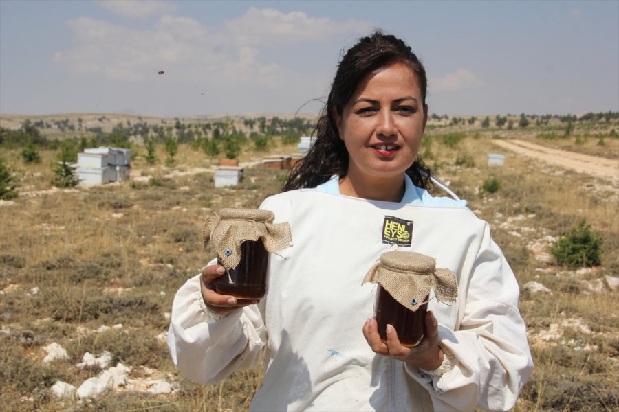 Organik Bal İçin Toros Dağlarının Zirvesindeki Mesai Sürüyor