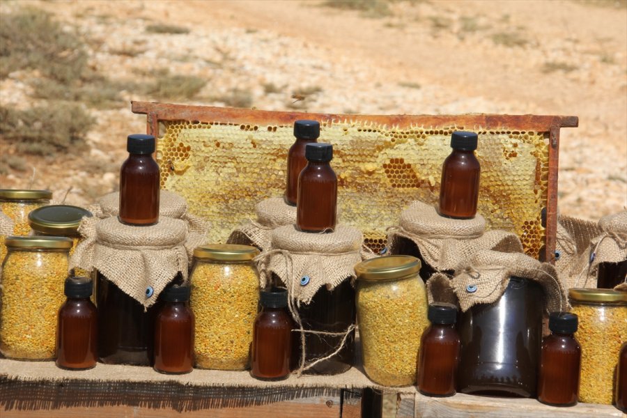 Organik Bal İçin Toros Dağlarının Zirvesindeki Mesai Sürüyor