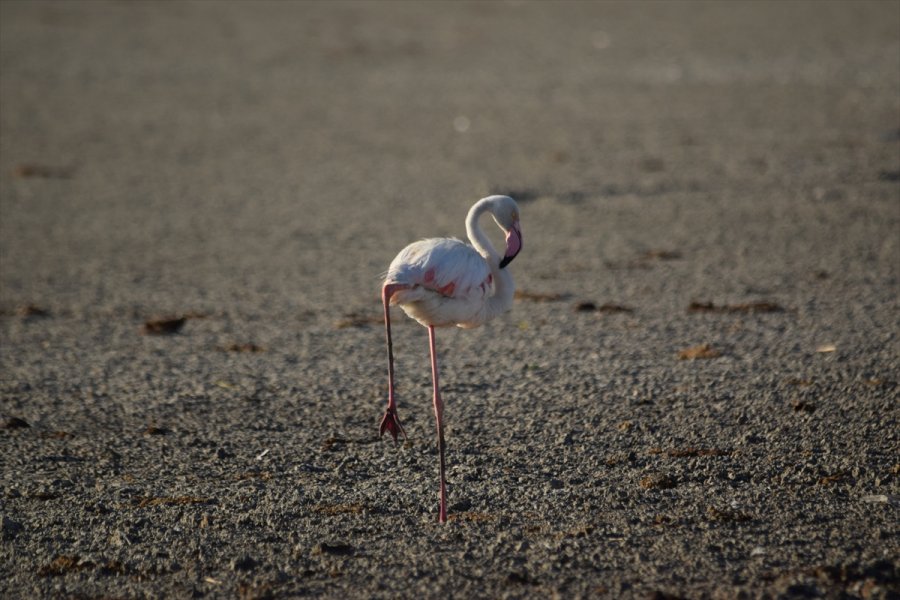 Konya'daki Düden Gölü Kurudu