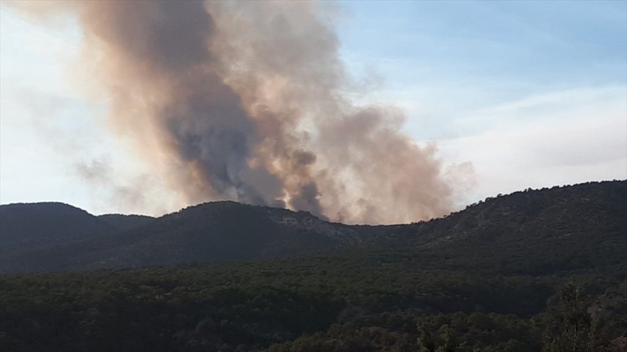 Ankara'da Çıkan Orman Yangınına Müdahale Ediliyor