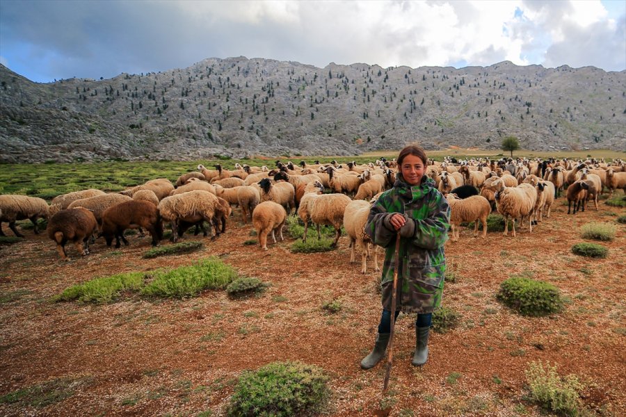 Emine Erdoğan'ın Bilgisayar Sözü, 