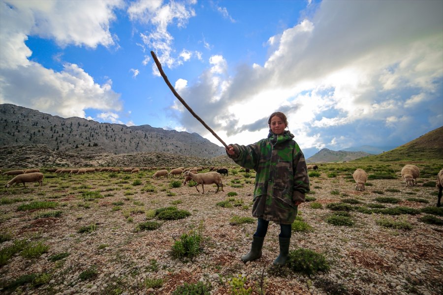 Emine Erdoğan'ın Bilgisayar Sözü, 