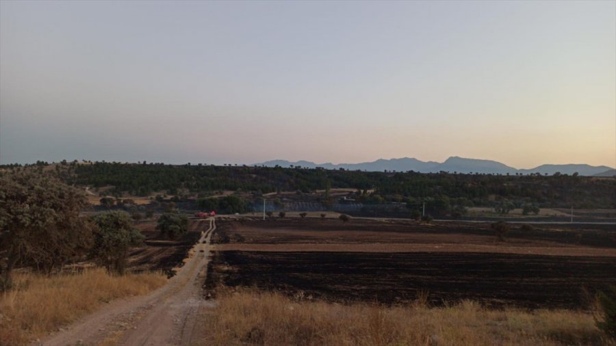 Konya'da Anızların Yakılması Sonucu Çıkan Yangında 5 Hektar Ormanlık Alan Zarar Gördü