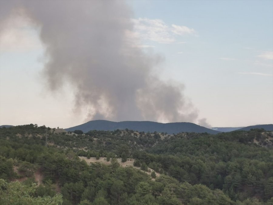 Ankara'nın Nallıhan İlçesinde Orman Yangını Çıktı